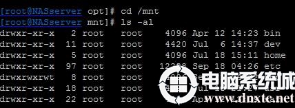 NAS存储故障导致Linux不能正常启动该如何处理？