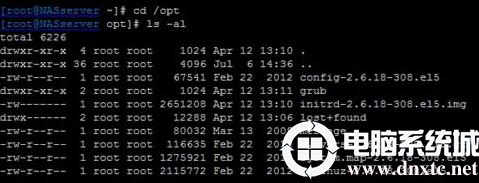 NAS存储故障导致Linux不能正常启动该如何处理？