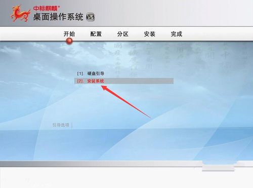 安装麒麟系统