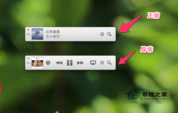  MAC系统iTunes 11 Mini Player一直显示控制按钮怎么办？