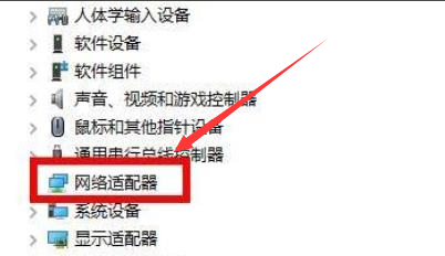 Windows11显卡驱动怎么重新安装？Windows11显卡驱动重新安装操作步骤截图