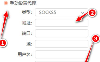 向日葵客户端如何手动设置代理?向日葵客户端手动设置代理步骤截图