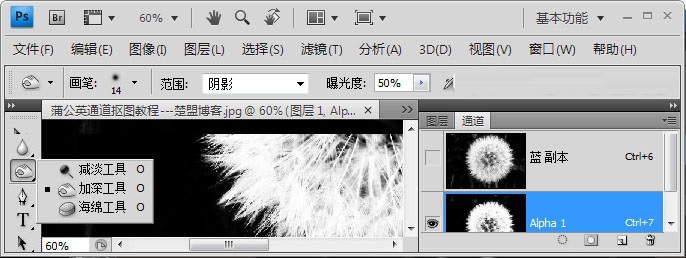 Photoshop如何完成蒲公英抠图?Photoshop蒲公英抠图教程截图