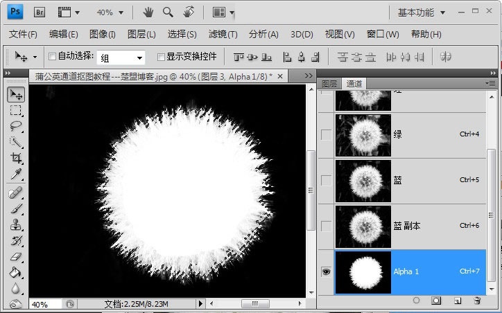 Photoshop如何完成蒲公英抠图?Photoshop蒲公英抠图教程截图