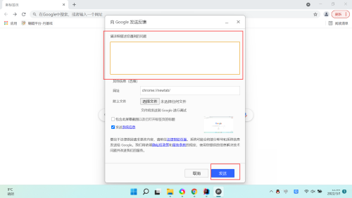 Google浏览器如何发送反馈?Google浏览器发送反馈的方法截图