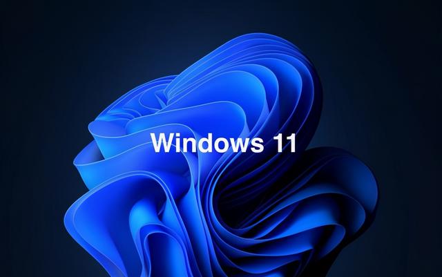 Win11专业版和家庭版有什么区别?Win11专业版和家庭版对比介绍