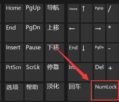 Win11键盘打不了字怎么办？Win11键盘打不了字解决办法截图