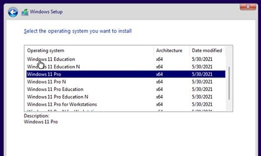 Win11安装版本选择哪个好?win11安装版本推荐分享截图