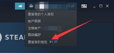 steam支付方式没有steam钱包怎么办？steam支付方式没有steam钱包解决办法截图