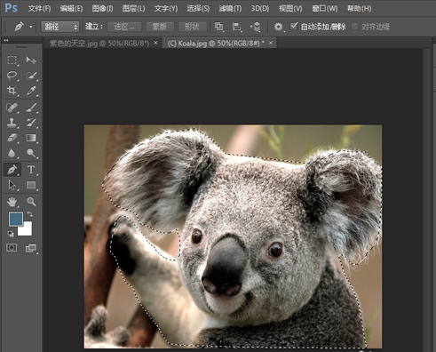 photoshop8.0怎么抠图?photoshop8.0抠图教程截图