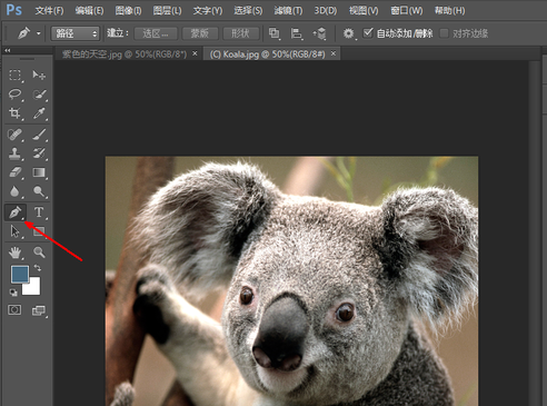 photoshop8.0怎么抠图?photoshop8.0抠图教程截图