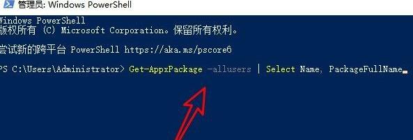 Win11应用商店点了为什么没反应?Win11应用商店点了没反应解决方法截图