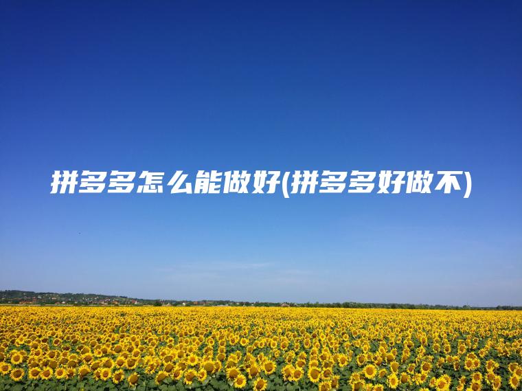 拼多多怎么能做好(拼多多好做不)