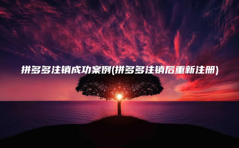 拼多多注销成功案例(拼多多注销后重新注册) 拼多多注销成功案例(拼多多注销后重新注册)