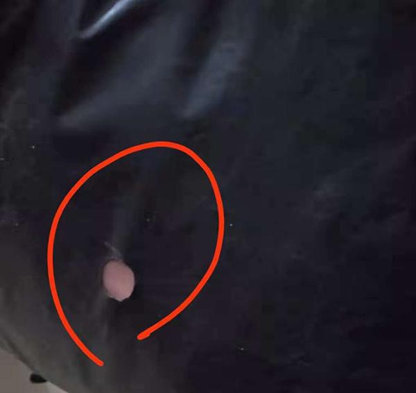 拼多多商家版网站登录(拼多多商家版登陆入口)