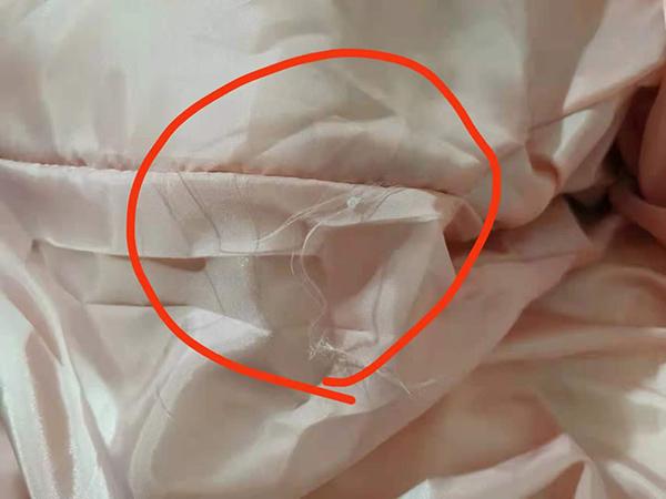 拼多多商家版网站登录(拼多多商家版登陆入口)