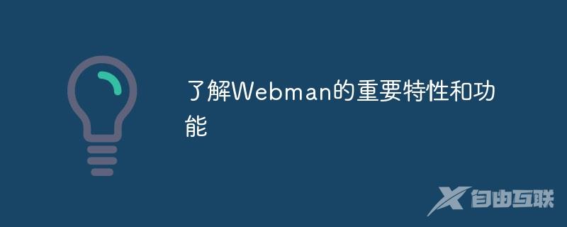 了解Webman的重要特性和功能