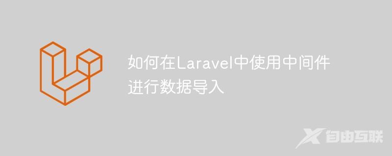 如何在Laravel中使用中间件进行数据导入