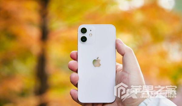 iPhone 12 mini支不支持全网通