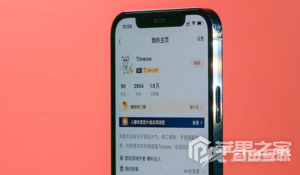 iPhone 12 Pro内存使用情况查询方法介绍