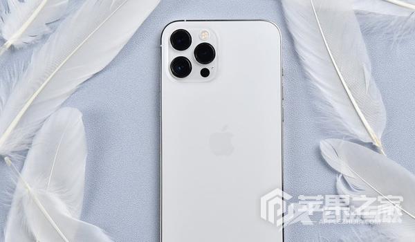 iPhone 12 Pro Max电池健康如何查询