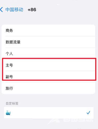 iphone15pro如何设置双卡双待