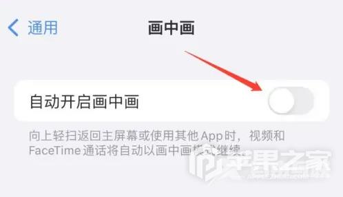 iPhone 14 plus画中画设置步骤介绍