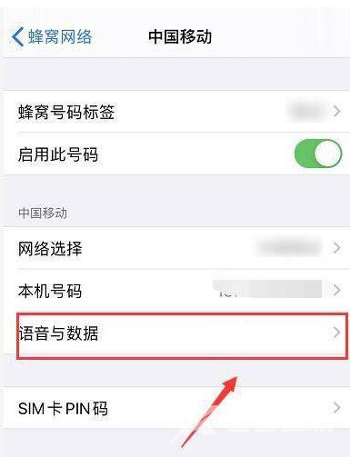 iPhone13怎么调成4g网络