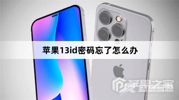 苹果13id密码忘了怎么解决