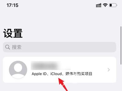 iPhone14的icloud怎么关闭自动续费？