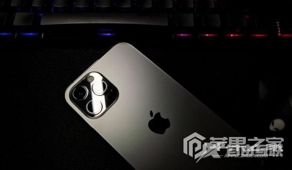 iPhone 12 Pro Max怎么提取图中文字