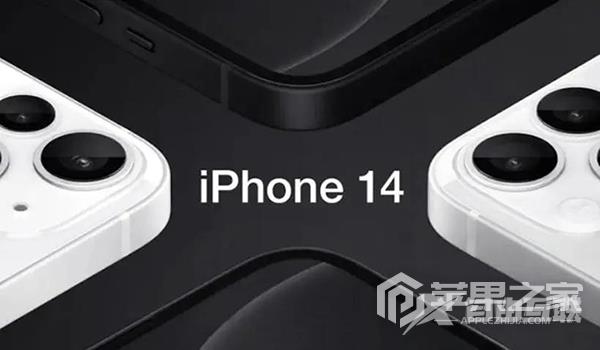 iPhone 14 Plus信号不好应该做什么