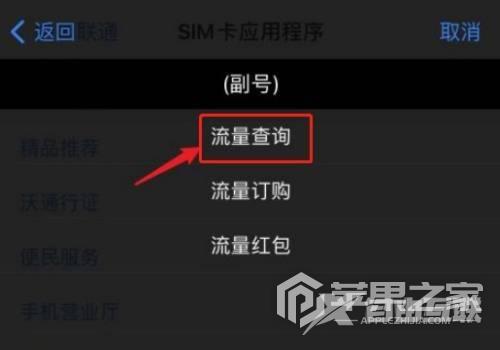 iPhone 12 Pro流量使用情况查询方法