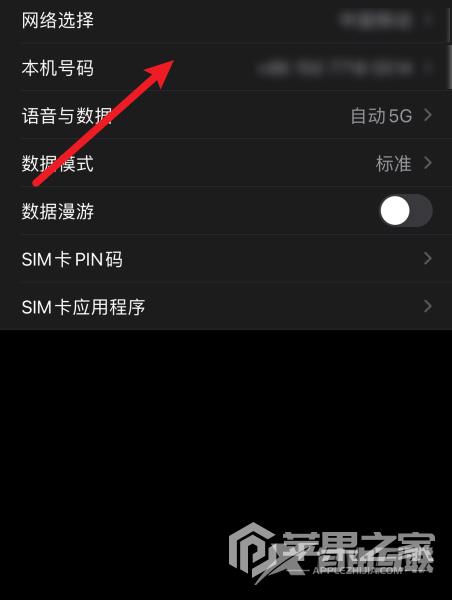 iPhone 12 Pro Max本机号码查询方法
