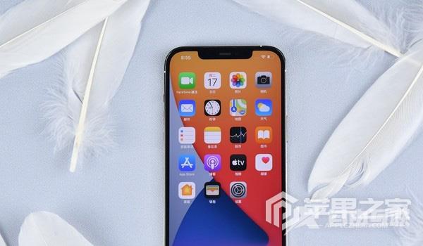 iPhone 12 Pro Max本机号码查询方法