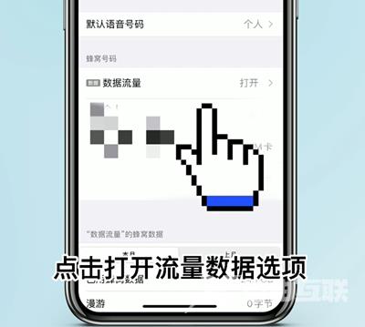 iPhone 14 Plus怎么查看具体的流量使用情况