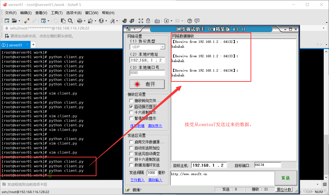 Python 实战 udp网络程序-发送、接收数据_套接字_04