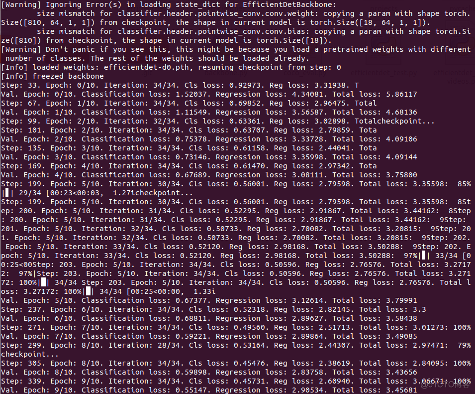 [炼丹术]EfficientDet训练模型学习总结_python_04