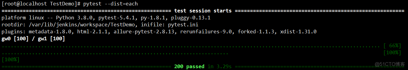 pytest-xdist之其他用法：dist模式、运行方式、配置文件_配置文件_04