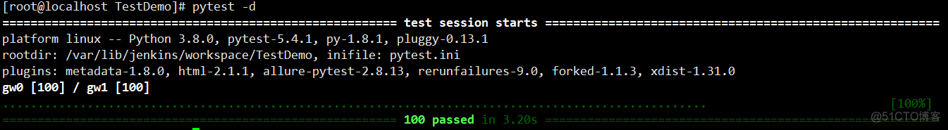 pytest-xdist之其他用法：dist模式、运行方式、配置文件_配置文件_13