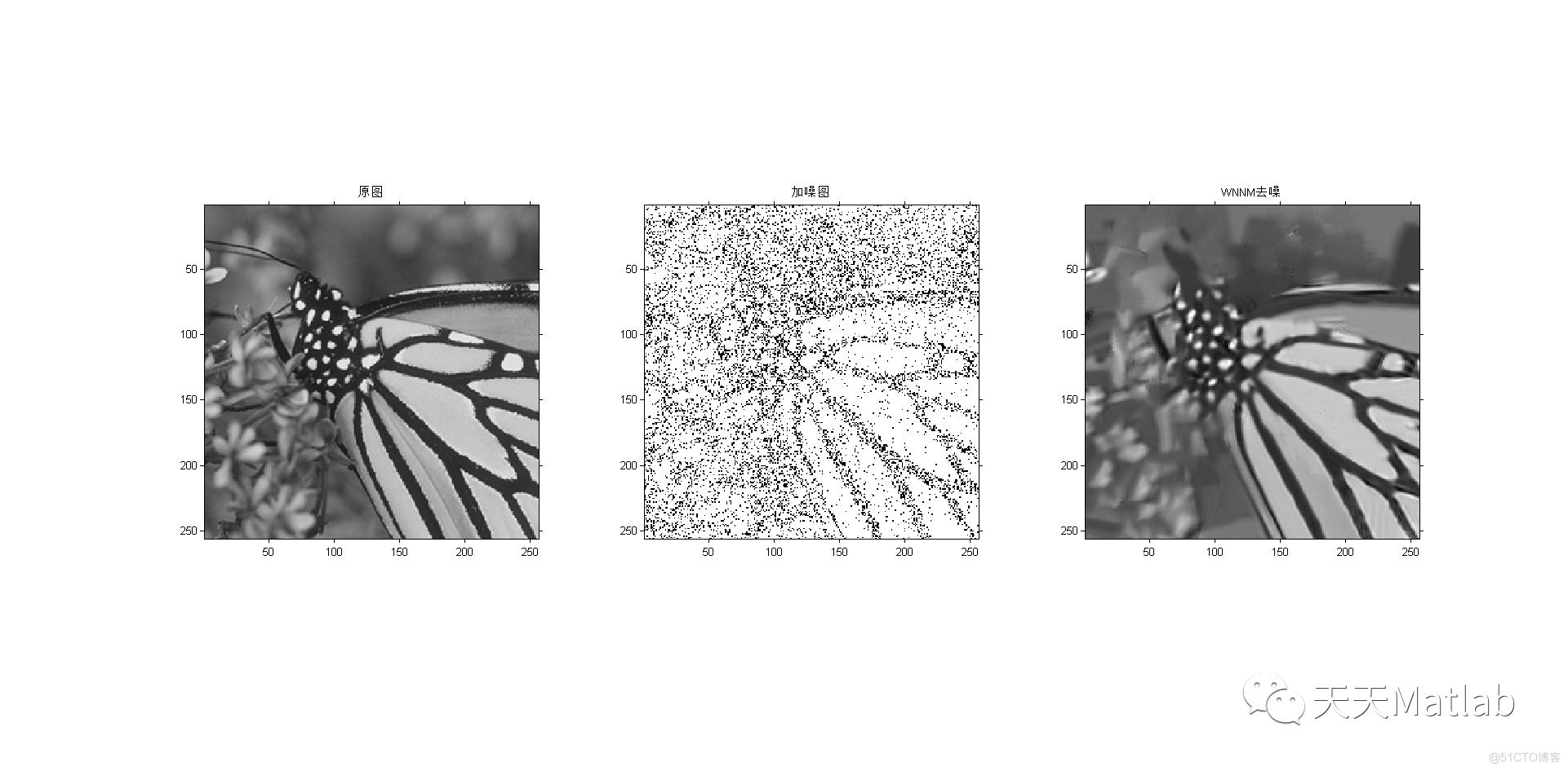 【图像去噪】基于加权核范数最小化算法实现图像去噪附matlab代码_matlab代码_03