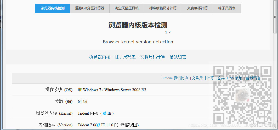 Winform中将WebBrower浏览器控件由IE内核修改为Chrome的WebKit内核_控件_02