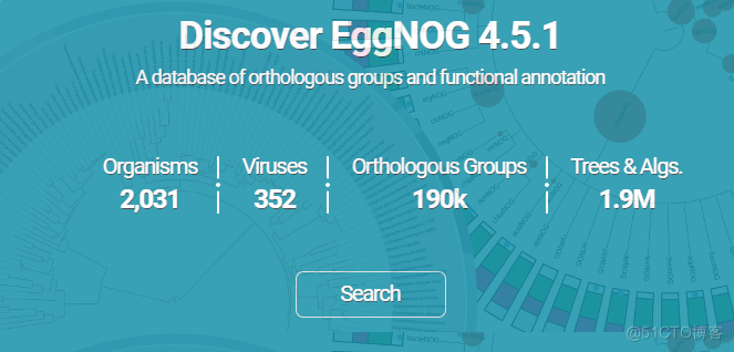 eggNOG 5.0数据库介绍_数据库