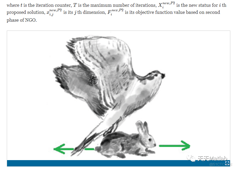 【北方苍鹰算法】基于北方苍鹰算法求解单目标优化问题附matlab代码_优化问题_13