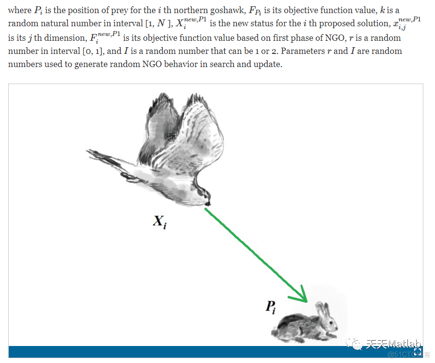 【北方苍鹰算法】基于北方苍鹰算法求解单目标优化问题附matlab代码_优化问题_09
