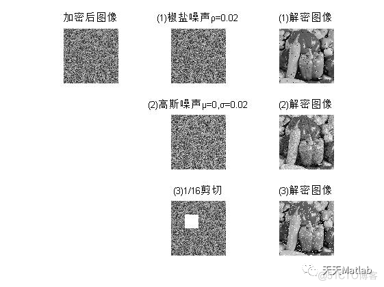 【图像加密】基于Logistic混沌结合Arnold置乱实现图像加密含Matlab源码_直方图_03