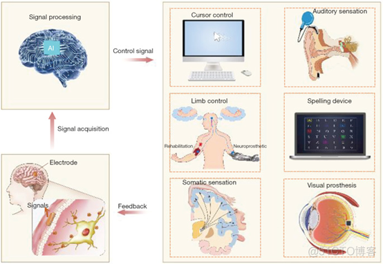 ​脑机接口(BCI)与人工智能：仅用思想来控制周围事物是什么感觉？_神经网络_09