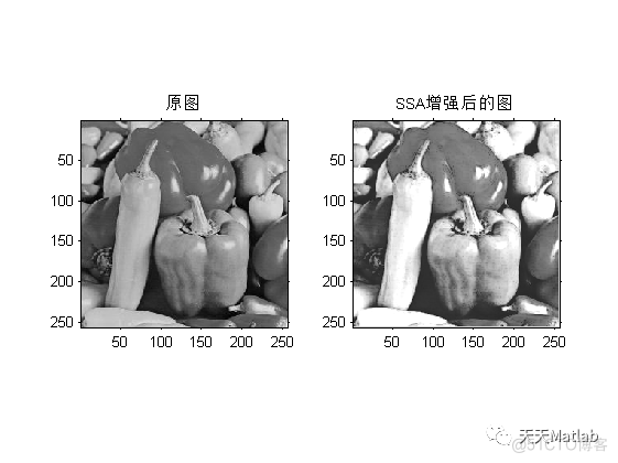 【图像增强】基于麻雀搜索算法与双伽马校正的图像自适应增强算法Matlab代码_图像处理_02