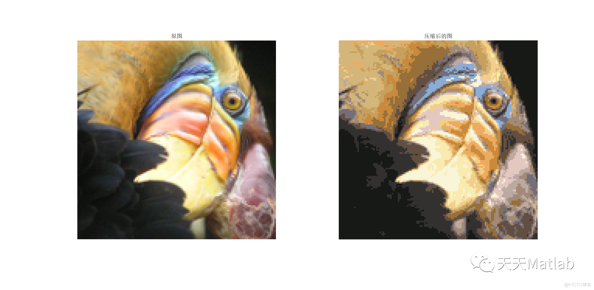 【图像压缩】基于Kmean实现图像压缩附matlab代码_聚类_03