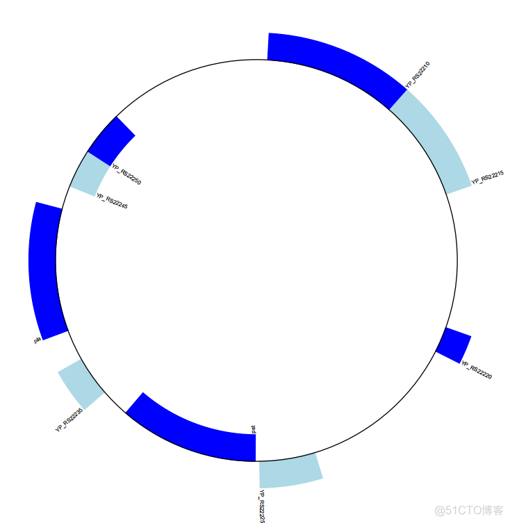 使用biopython可视化染色体和基因元件_数据分析_03